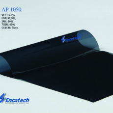 Ap Ch1050
